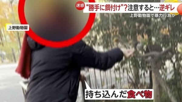 腹部を殴り「死ね、クソ、ふざけんな」上野動物園の鳥に“餌付け”する女性…禁止行為を注意されて“逆ギレ”