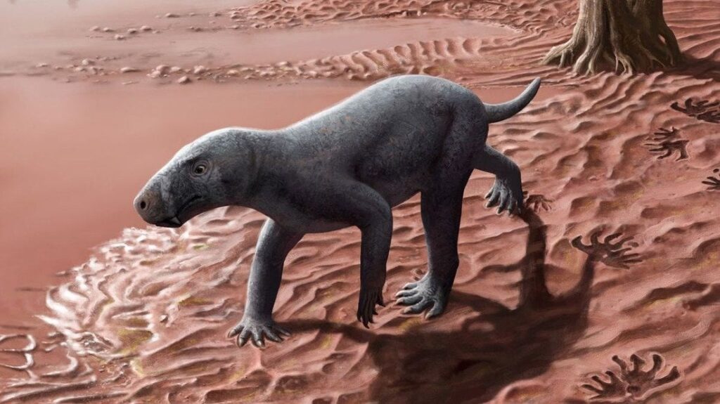 「剣歯」持つ太古の捕食者、新たな化石見つかる 同分類の動物で最古 スペイン