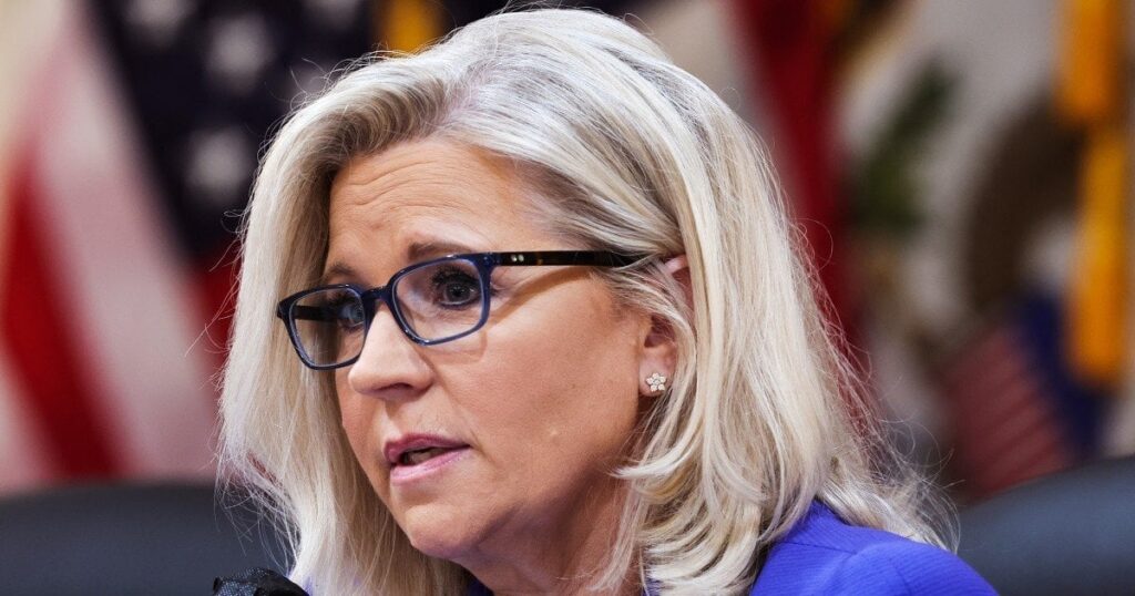 反トランプ勢力、次期政権の潜在的な政治的ターゲットを支援するネットワークを構築