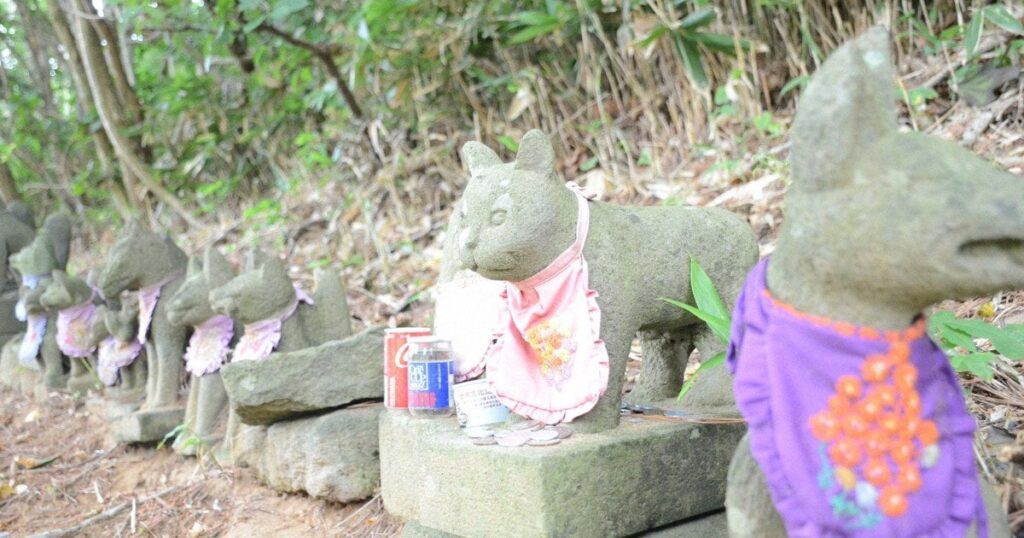 にゃーんちゃん、ワンカップ