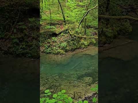 | 4K |クロアチアの山の川🇭🇷 スラップニツァ、ジュンベラク #自然 #クロアチア...