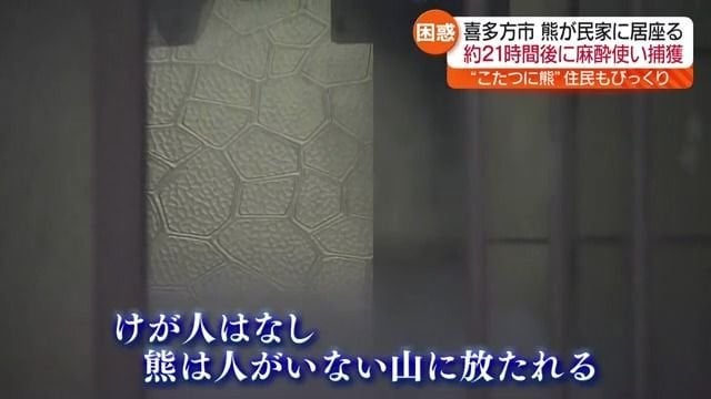 「クマがこたつに頭を突っ込んでいた」約21時間…民家に居座ったクマ捕獲 福島県喜多方市（福島中央テレビ） - Yahoo!ニュース