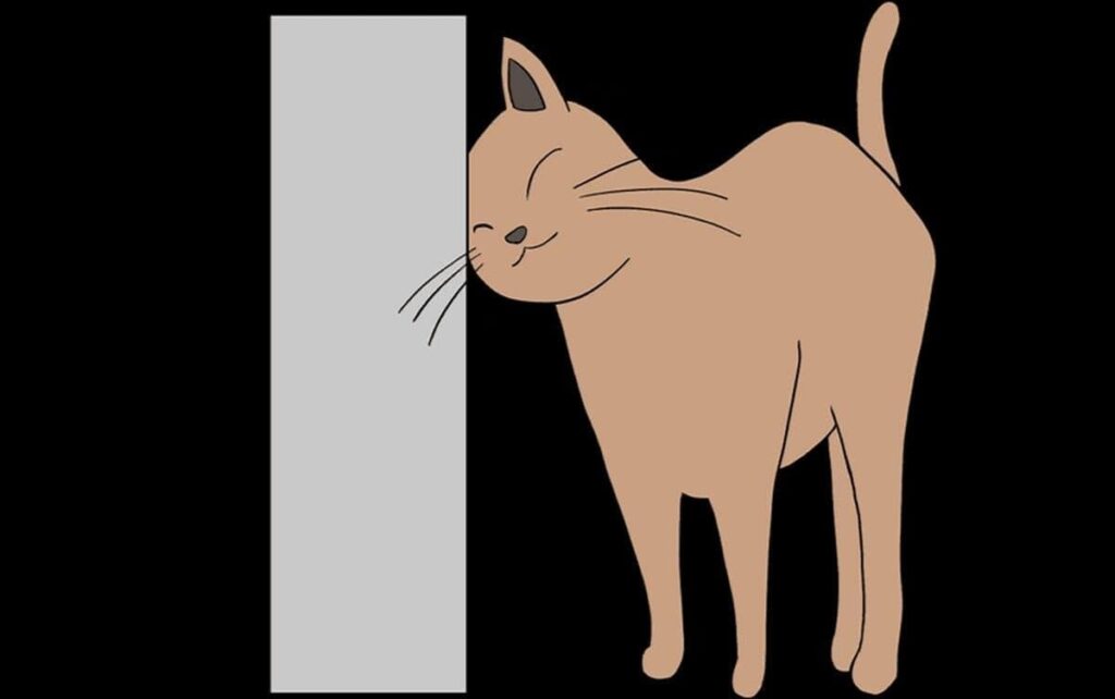 猫のように頭をすり寄せてくるロボットを開発し、その癒し効果を検証 | テクノロジー・材料｜筑波大学