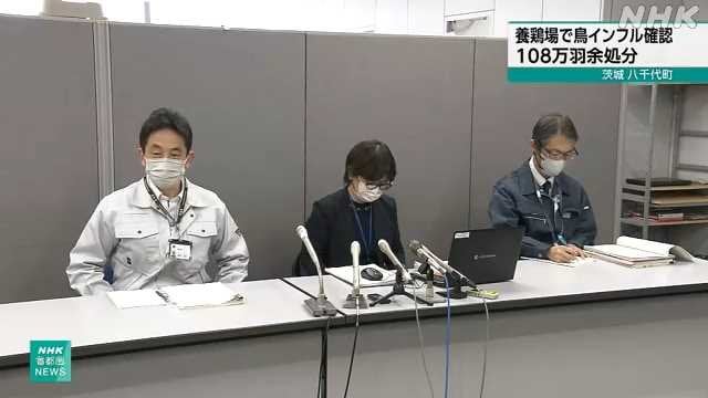 茨城 八千代町の養鶏場で鳥インフルエンザウイルス確認