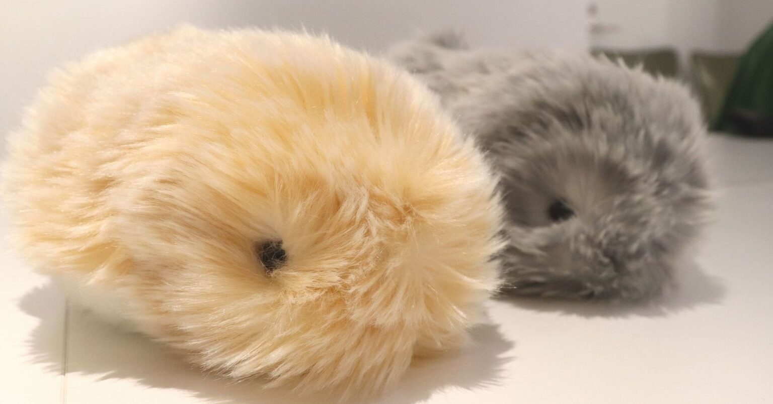 カシオが作ったモフモフAIロボット　生き物らしい「可愛さ」をどう設計したか：小寺信良が見た革新製品の舞台裏（34）（1/4 ページ） - MONOist｜ITmedia