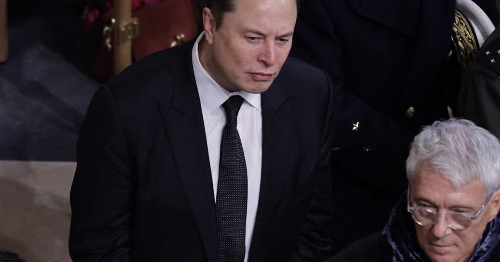 イーロン・マスク氏、ドイツ極右を衝撃的に称賛したことで反発に直面