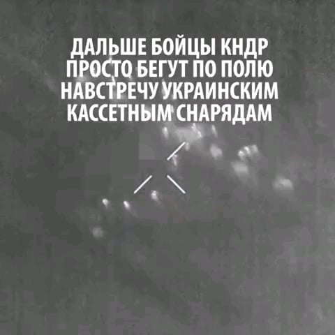 クルスク地域で北朝鮮兵士が歩兵を襲撃する様子を映したとされる別の動画がソーシャルメディア上で拡散した。 2024年12月 [unconfirmed]