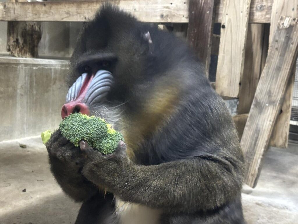 動物たちのおはなし ふるさと納税　ありがとうございます！