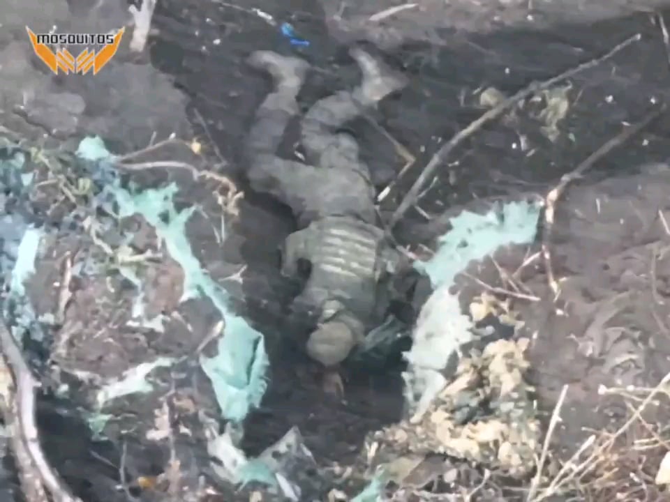 ウクライナ第3突撃旅団の「モスキートス」ドローンチームはロシア侵略者2名を標的に弾薬を投下し、うち1名に致命傷を与えたようだ。倒れた侵略者の同志は予想通りの反応を示した。 2024 年 12 月 21 日発行