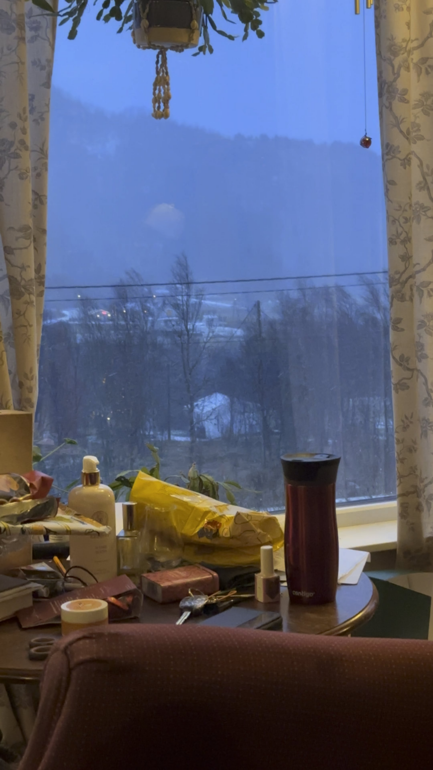 Pov 昨日は雨の嵐でしたが、今日は穏やかな雪が降りました