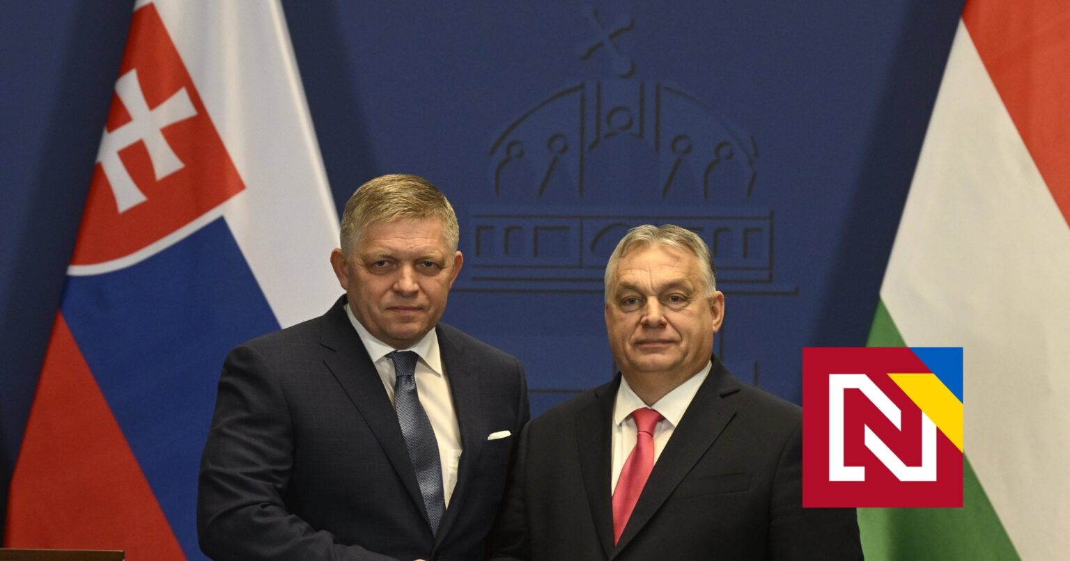 フィコ氏とオルバン氏はグルジアの親ロシア政府を擁護し、EU制裁に拒否権を発動した。スロバキアは歴史の悪い面に加わりつつあると専門家が言う