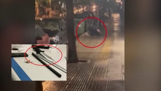 キプセリ：悲しい、刺された犬が死亡 - 47歳の犬は拘留中 | in.gr