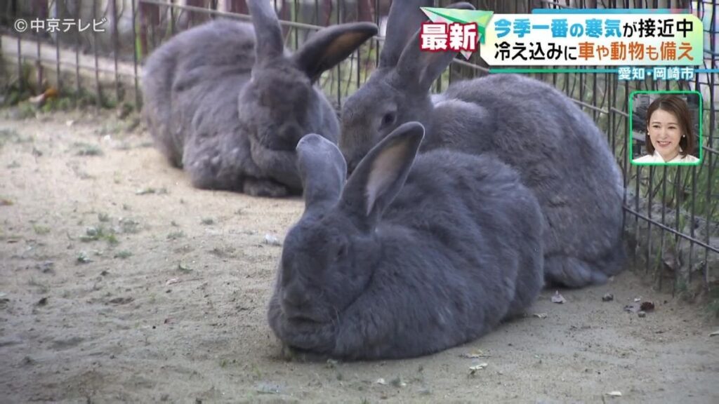 今季一番の寒気が来るぞ