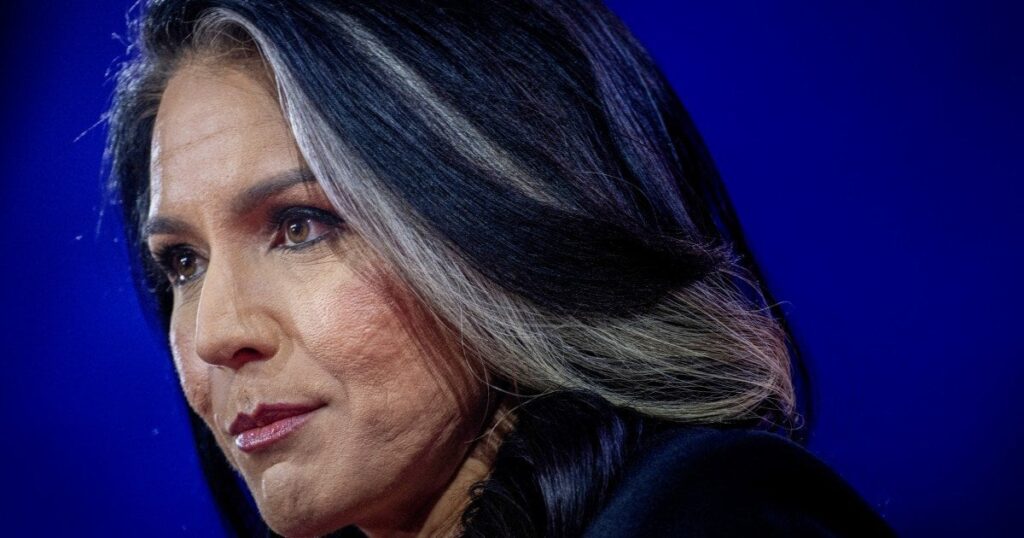 議会の民主党と共和党は、ガバード氏がシリアに情報を漏らすのではないかと懸念していた。