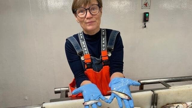 バルト海は今や死海であり、農業がそれを死滅させたと海洋科学者が語る