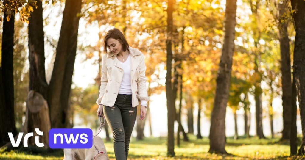 犬をリードでつないでいませんか？この場合、最大350ユーロの罰金が科せられる可能性がある