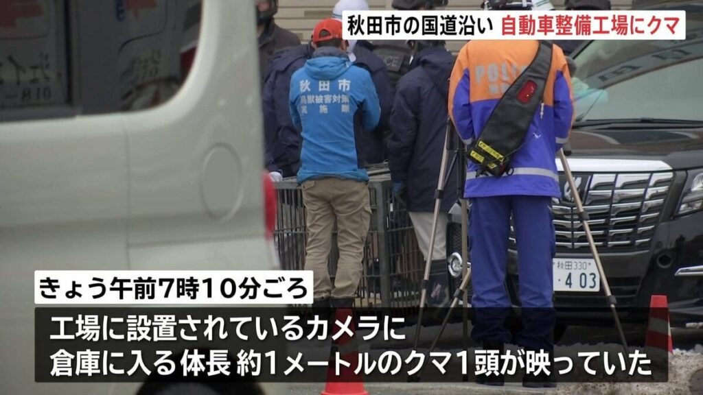 クマ1頭が自動車整備工場の倉庫に侵入 市が箱わなで捕獲試みる 秋田市