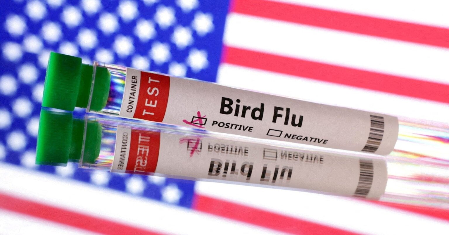 米国で初の鳥インフル重症患者、カリフォルニア州は非常事態宣言