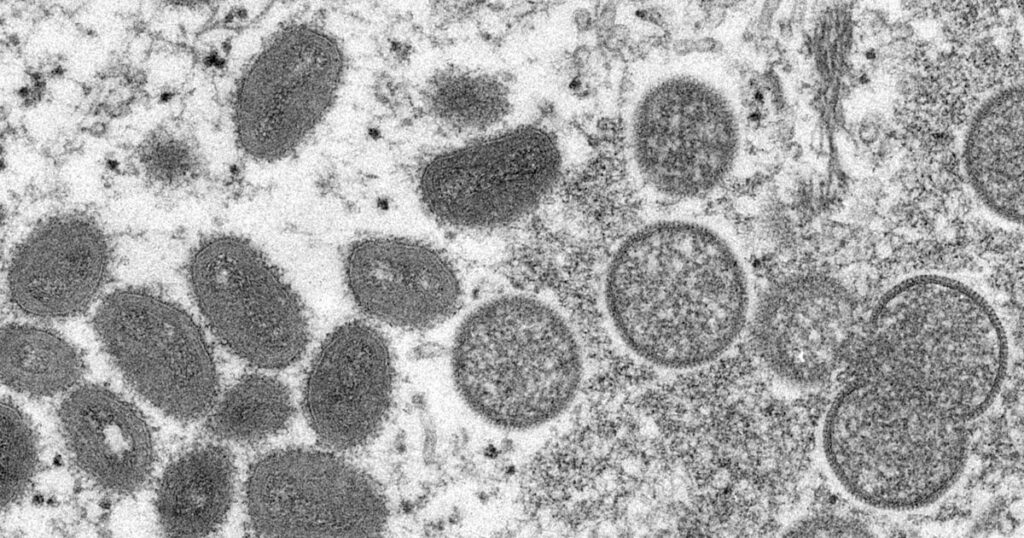 厚労省、エムポックス（サル痘）治療薬の備蓄検討 - 高用量インフルエンザワクチンの製造販売承認も了承