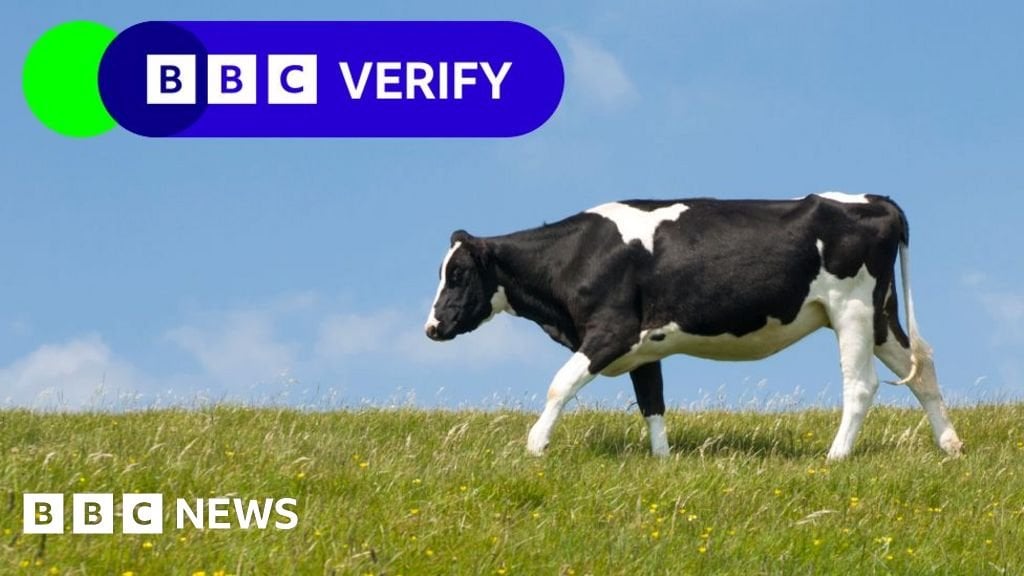 「なぜ人々は牛の飼料添加物の上に牛乳を排水溝に流すのでしょうか?」 (オムハンドレンデ・アルラ)