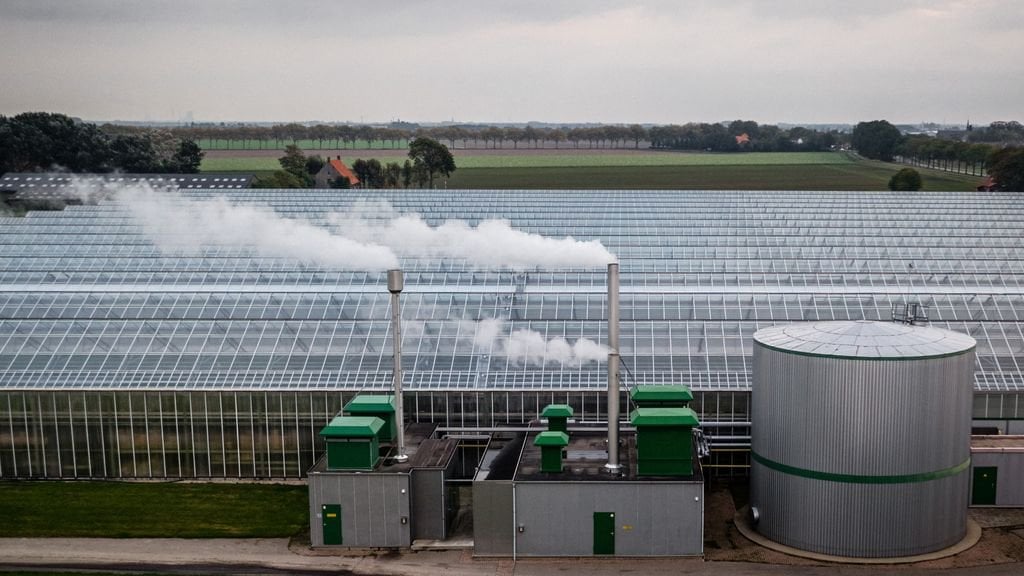 CO2排出量があまりにも安くなり、持続可能性が妨げられる理由