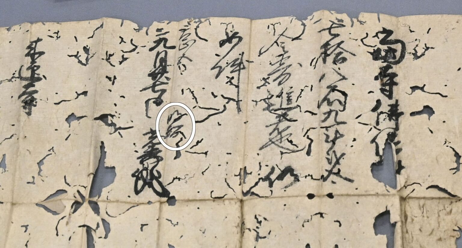 たんすを開けたら明智光秀の寄進状が出てきた
