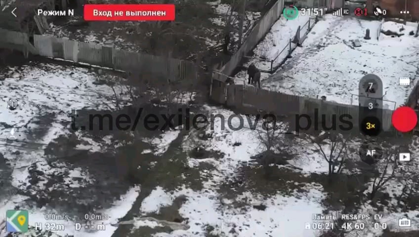 物流上の困難と食糧不足に直面し、ロシア兵がクルスク方面で豚を盗んだ