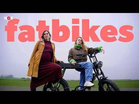 自転車道を巡る争い