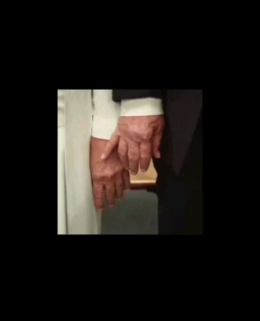 ペッレは何をしようとしているのでしょうか？
