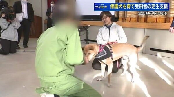 刑務所で保護犬を育てる 「優しい気持ちを思い出した」受刑者の社会復帰へ 全国初の試み
