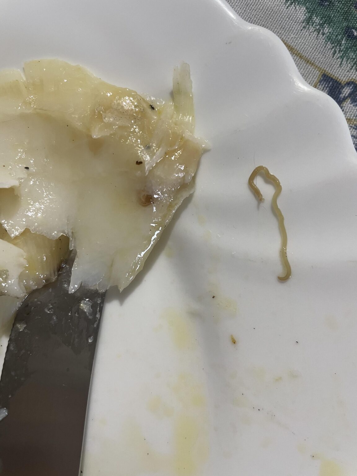 寄生虫？