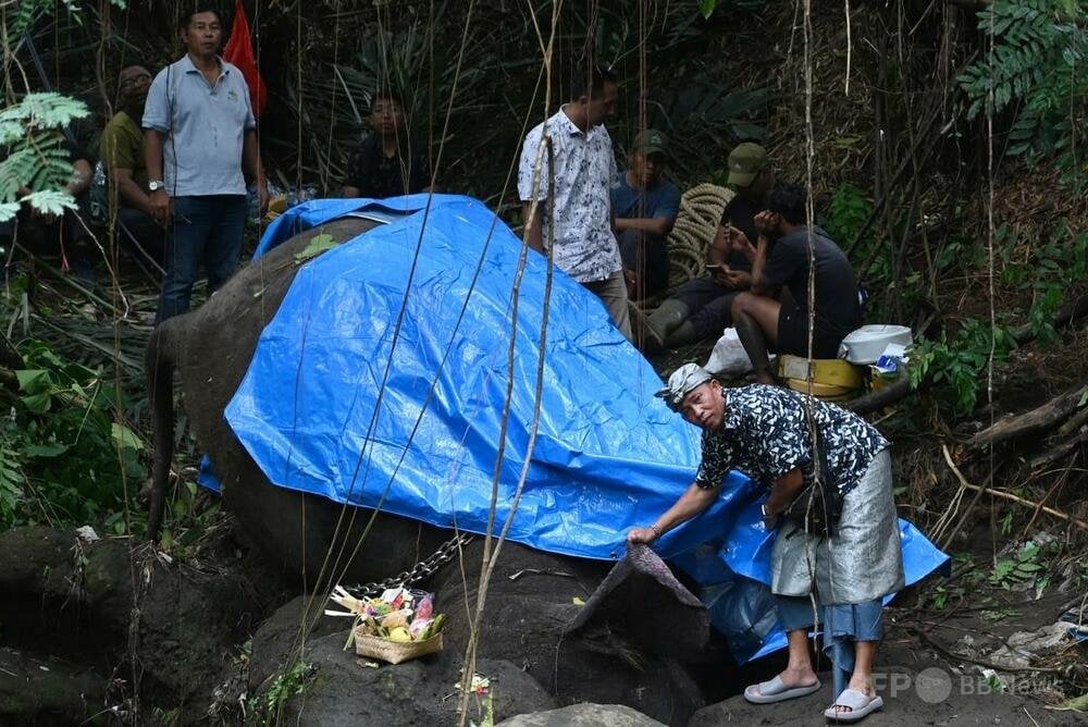 ゾウも川でおぼれると死ぬ