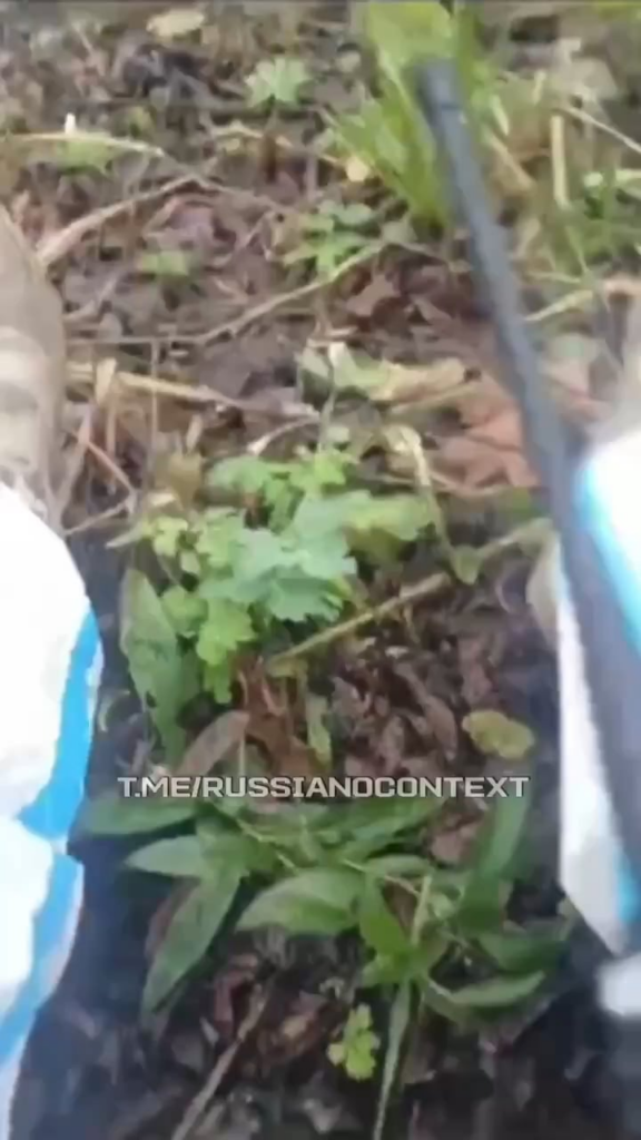 ロシアの侵略者はボランティアに遺体袋を求めるか、自分で購入することを余儀なくされている。彼には5人の同志が詰め込まれているが、地雷のせいでさらに連絡がつかない人たちがいる