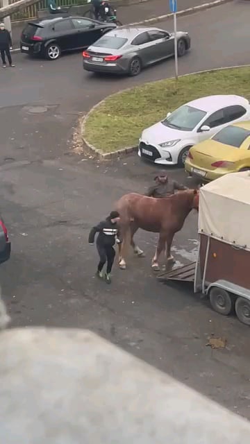 彼らはサルゴータルジャンのアドベントイベントで馬を蹴った
