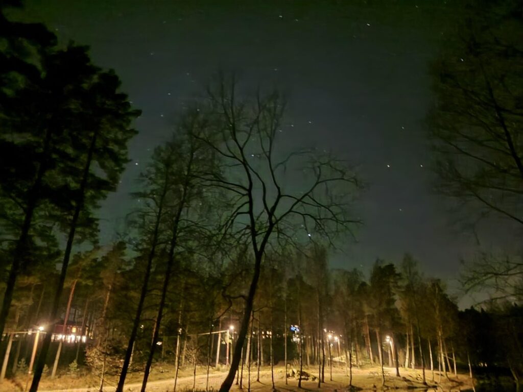 ノルウェーからの写真