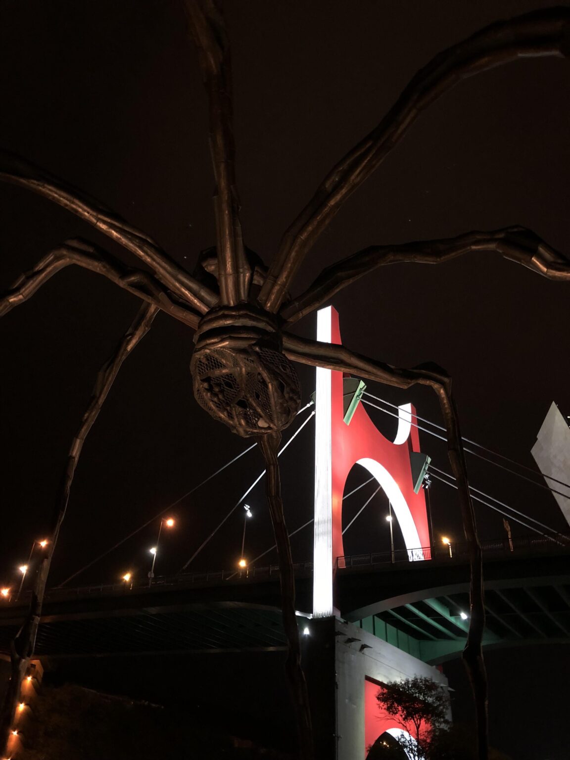 ママグモとラ・サルベ橋（ビルバオ）