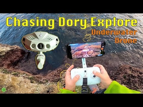 ドリーを追いかけて水中ドローンを探索する