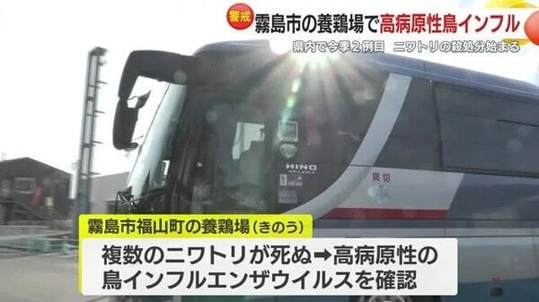 鹿児島・霧島市の養鶏場で高病原性鳥インフル発生 県内今季２例目 ニワトリ約１０万羽の殺処分始まる
