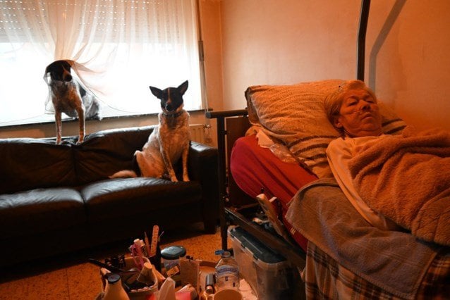 末期の病気のジゼルさん（67）は、2匹の犬の飼い主を探している。「私の最後の願いは、そのときだけ安楽死を選ぶ」