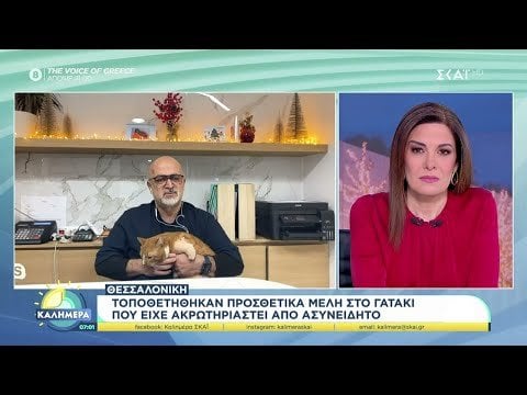 論文：何者かによって切断された猫に義足が装着された