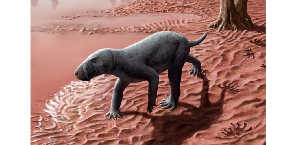 恐竜の時代からほ乳類は存在していた？ 2億8000万年前の動物の骨が見つかる