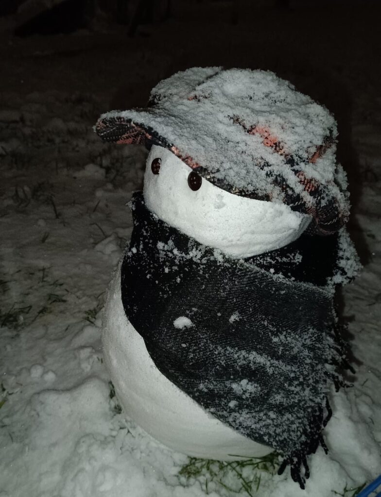 「おやすみなさい。雪だるまはそのために訓練しているのですか？」