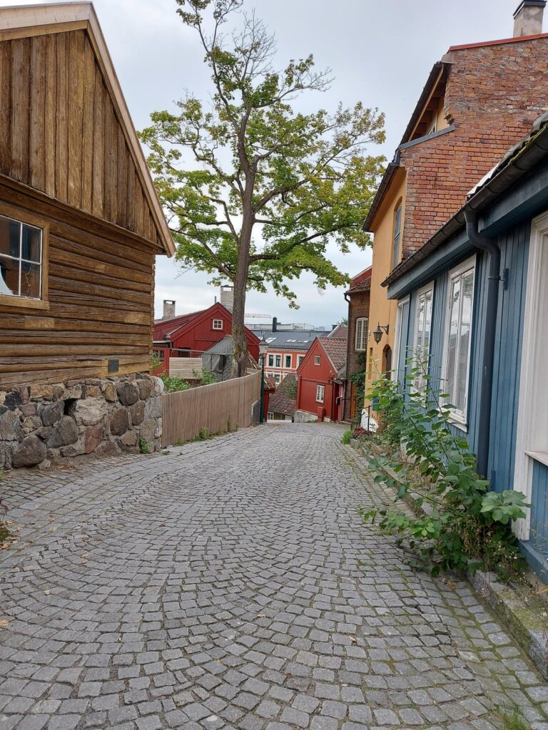 美しいノルウェーの写真を数枚🇳🇴