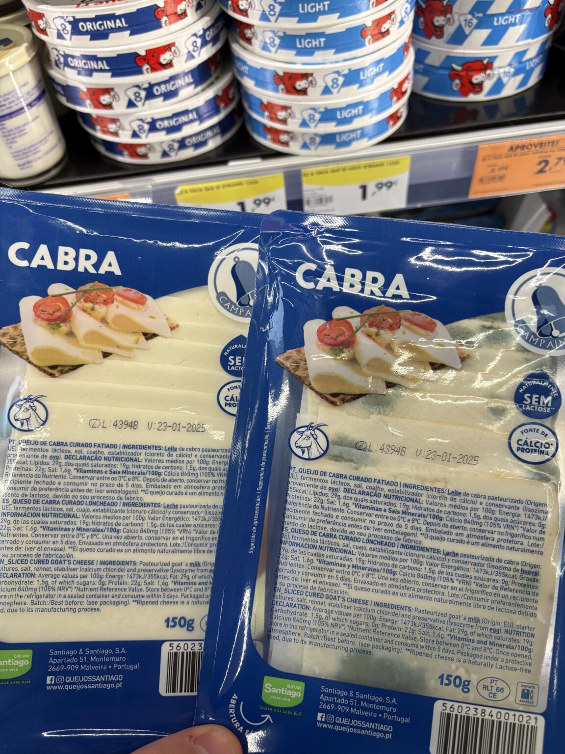 細菌コロニーの有無は?