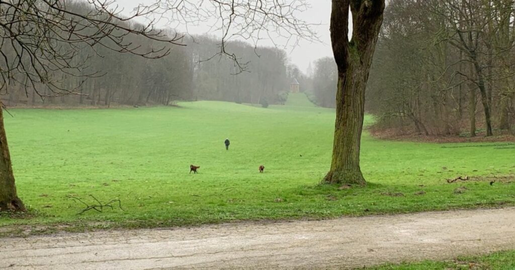 ビルボールデの公園で大量出血の18歳少年発見：検察当局、殺人未遂容疑で捜査開始