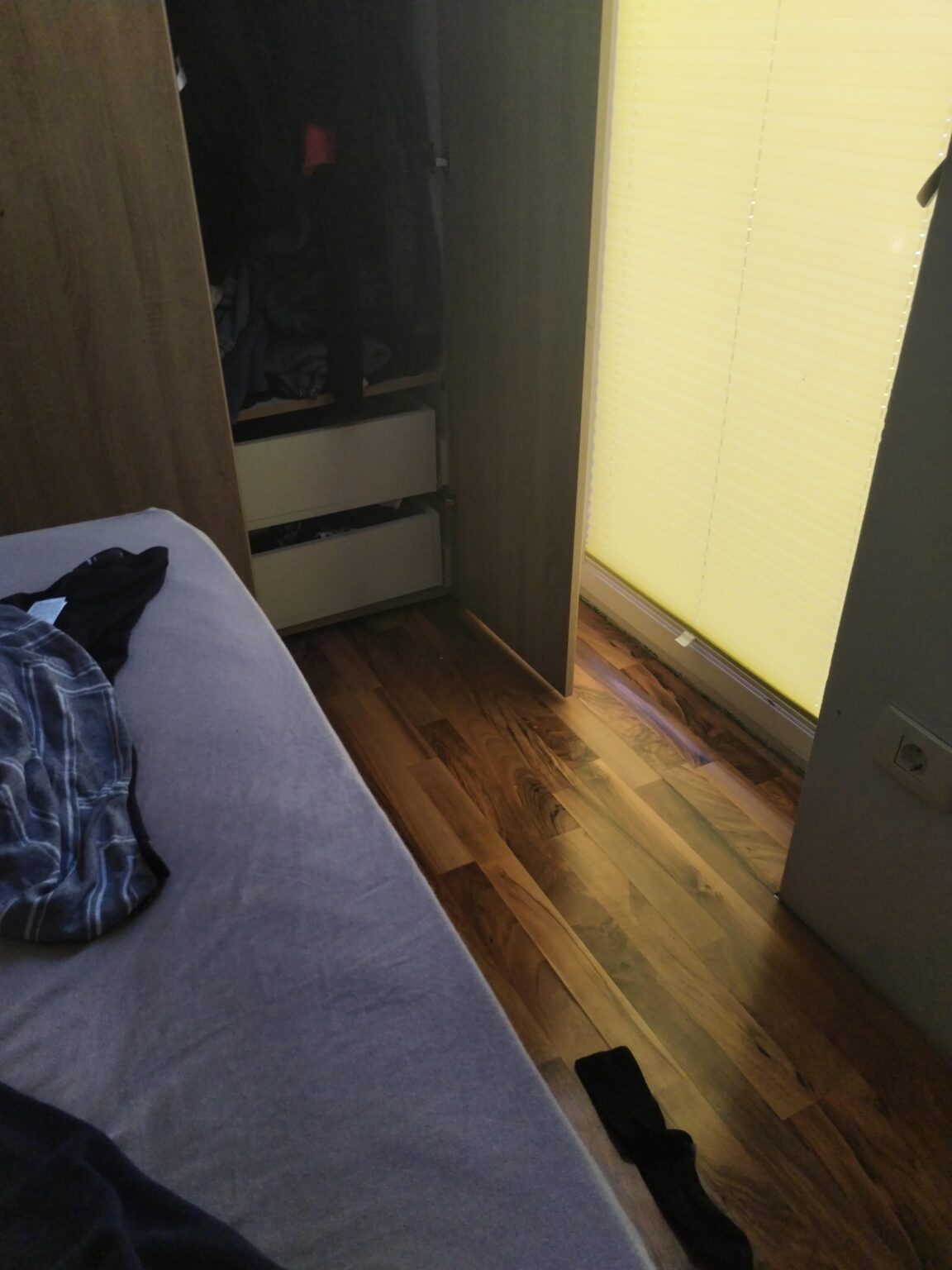 探してみてください、どこにでもいますよ