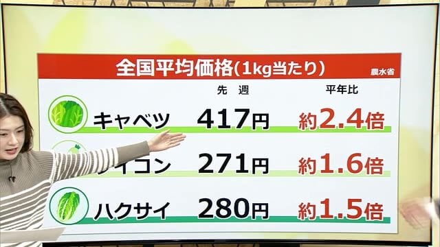 「何を買うにも躊躇する…」野菜の価格高騰で消費者“困惑” キャベツ2.4倍、ダイコン1.6倍 スーパーも対応に四苦八苦【福井発】
