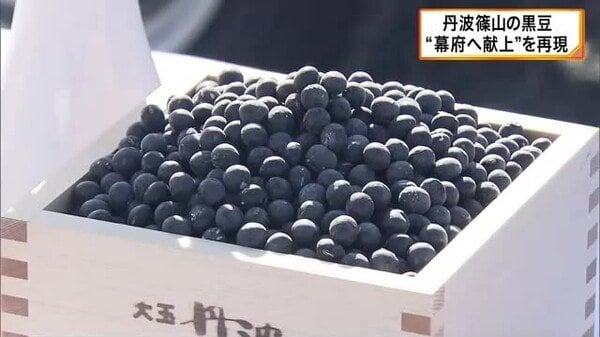 丹波篠山の黒豆 “江戸幕府へ献上”を再現 篠山城跡から東京へ「出立式」