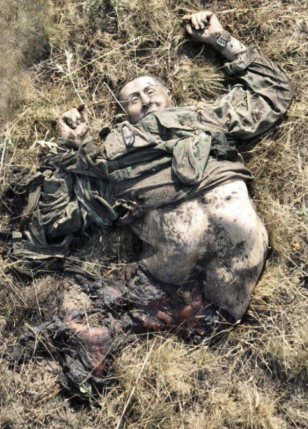 グラフィック。死んだ兵士の遺体。 NSFW。