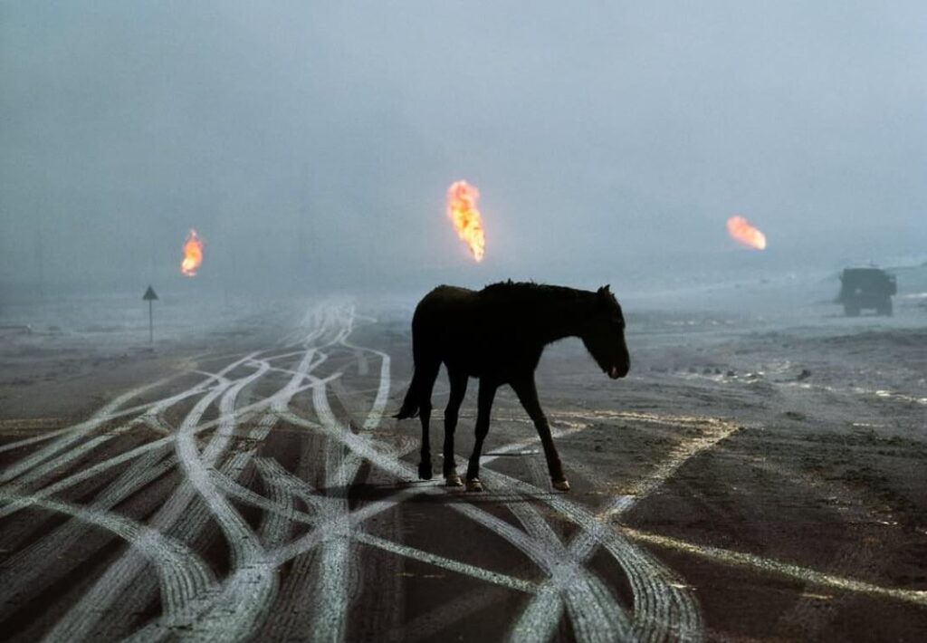 お気に入りの写真
